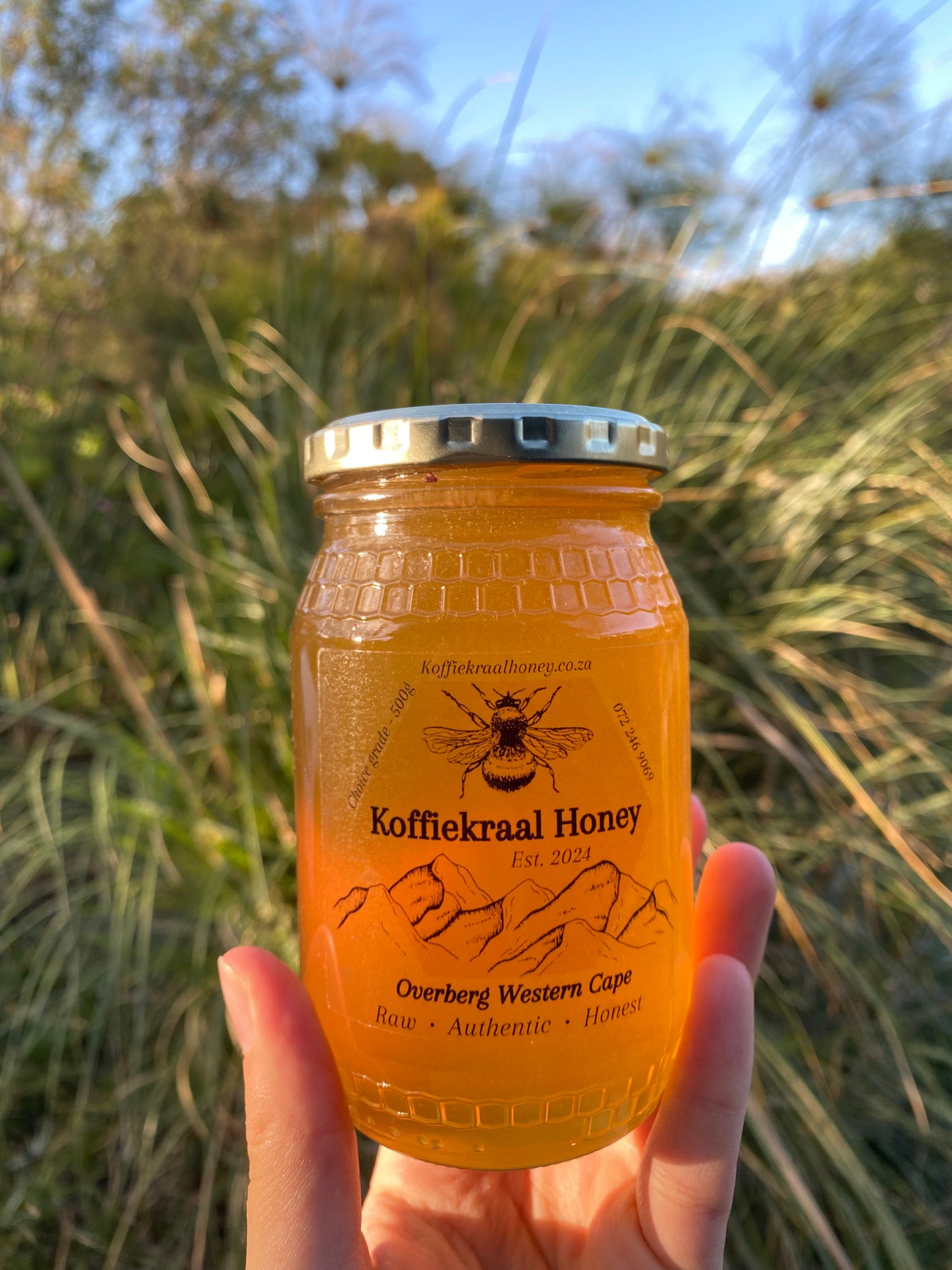 Raw 500g Honey